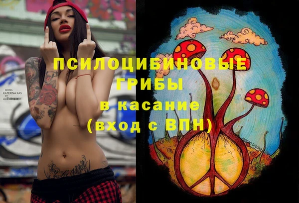 mdpv Иннополис