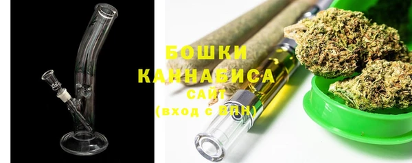спиды Инсар