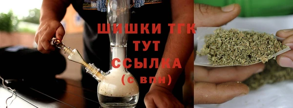 дурь Инта