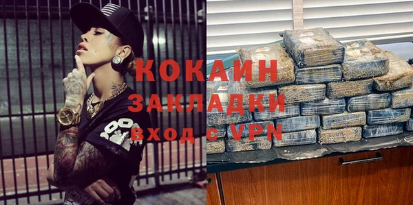 дурь Инта