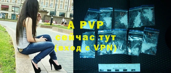 спиды Инсар