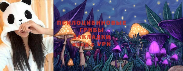 дурь Инта