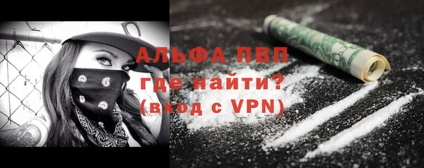 спиды Инсар