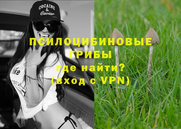 mdpv Иннополис