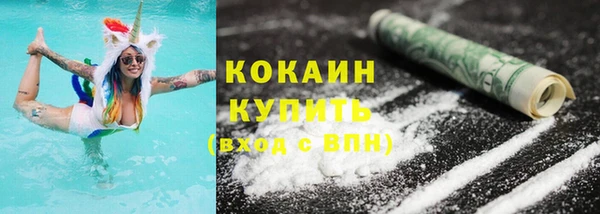 дурь Инта