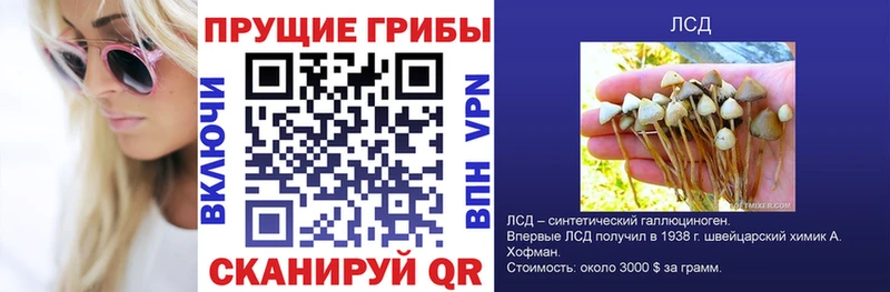 Купить закладки  Ивантеевка  Галлюциногенные грибы Psilocybe 